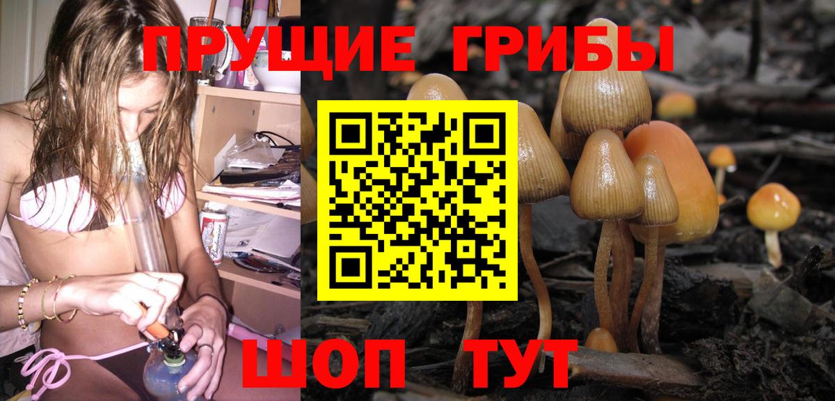 Галлюциногенные грибы ЛСД Щёлково
