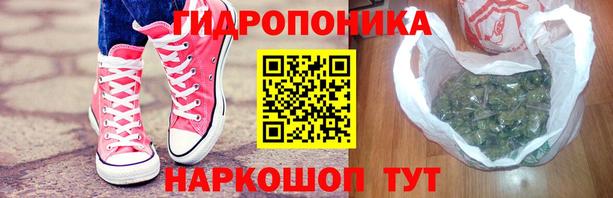 Бошки марихуана конопля  Вход с VPN  Каннабис планчик  Щёлково 